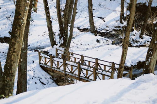 Wooden Bridge Covered with Snow