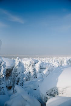 Serene view of a snowy landscape with frost-covered trees under a bright blue sky.