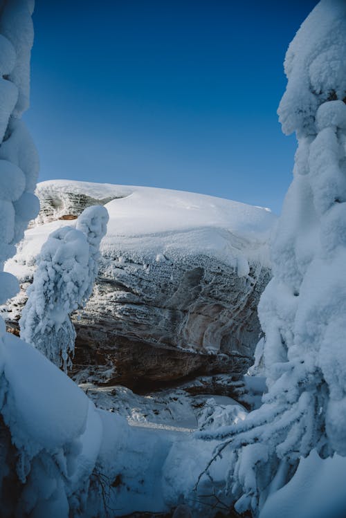 Бесплатное стоковое фото с вертикальный выстрел, зима, лед