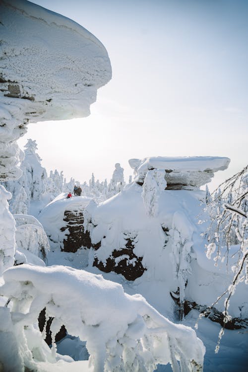 Rock Formations and Trees Covered with Thick Snow