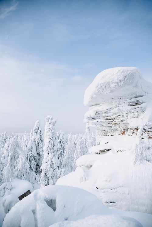 Free A serene winter landscape showcasing snow-covered trees and a rocky outcrop under a clear blue sky. Stock Photo
