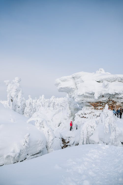 Photo of a Winter Landscape 