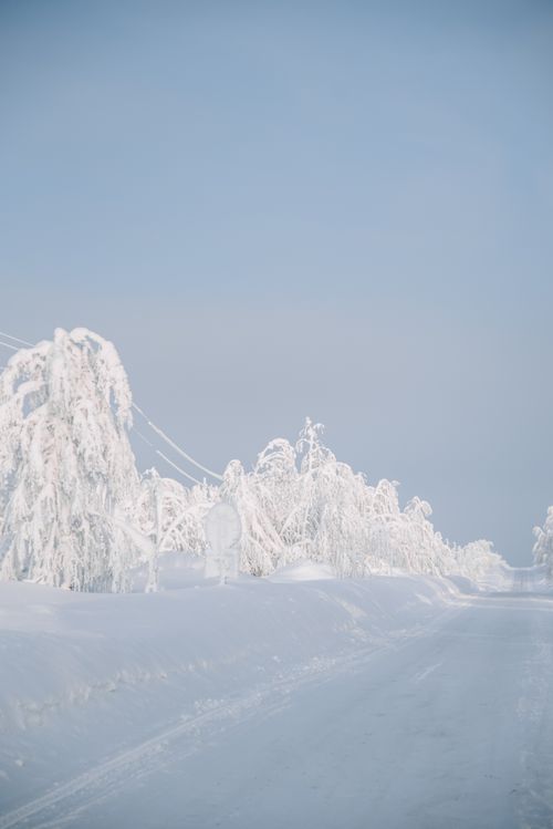 Free A tranquil winter scene with frosted trees lining a snow-covered road under a clear blue sky. Stock Photo