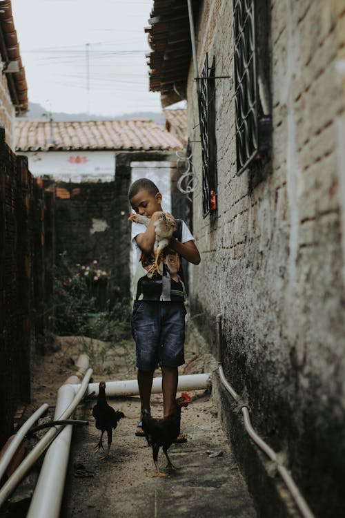 Foto profissional grátis de adolescência, adolescente, afago