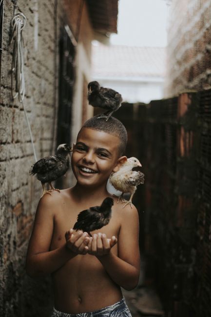 Happy young boy holding and surrounded by baby chicks in an outdoor alley.