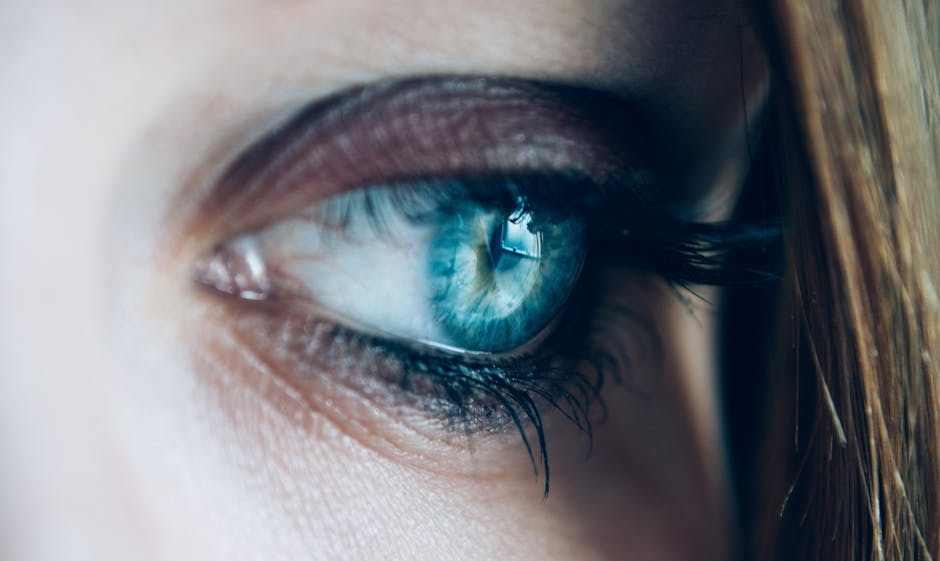 close-up, eye, eyelashes