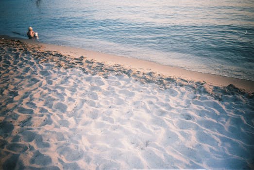 A little child playing at the serene beach shore with gentle waves, capturing a peaceful seaside moment.