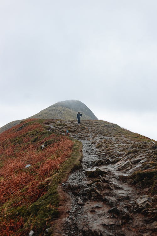 ハイキング, 丘, 人の無料の写真素材