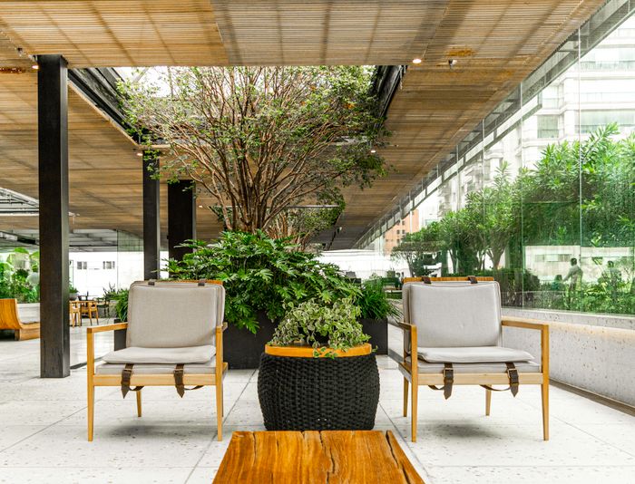 Welcoming office lounge dressed with potted trees and soft seating