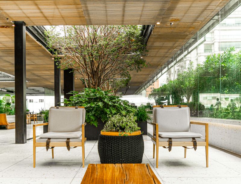 Office lounge with armchairs set among potted trees