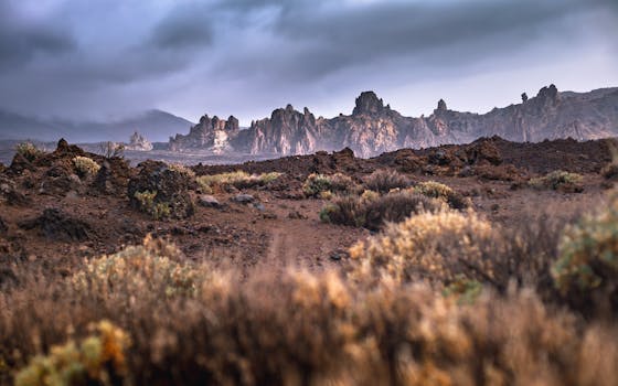Explore the rugged terrain of Mount Teide National Park at dusk with volcanic rocks and dramatic clouds.