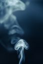 White Smoke in Grayscale Photography