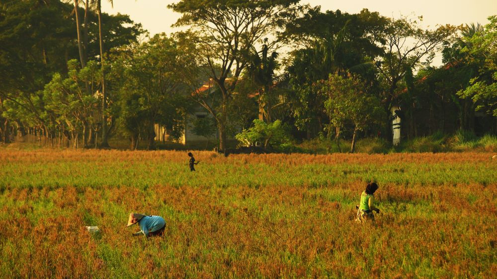 Agriculture industry