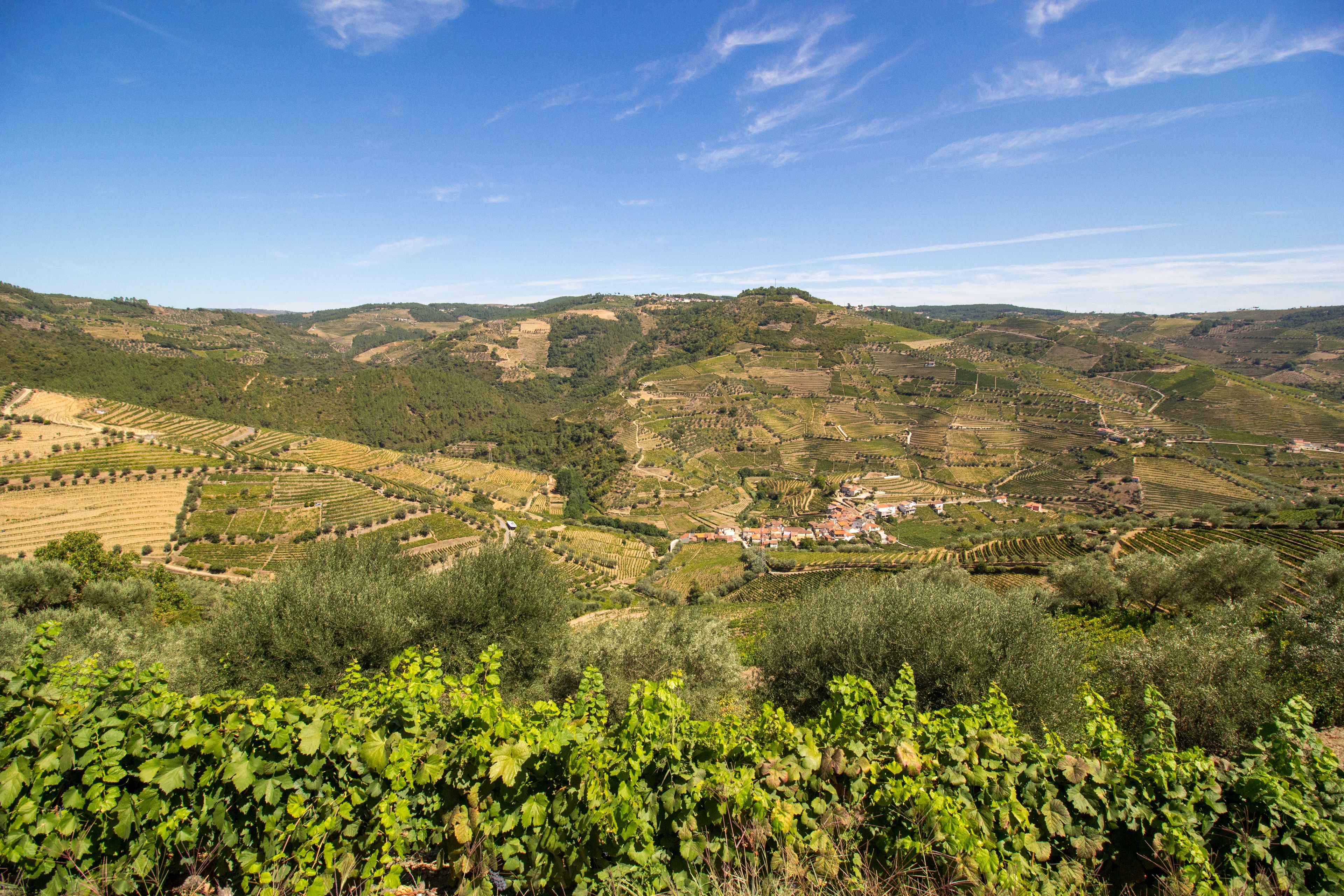 Douro Valley, Portugal — Three centuries of walls holding everything