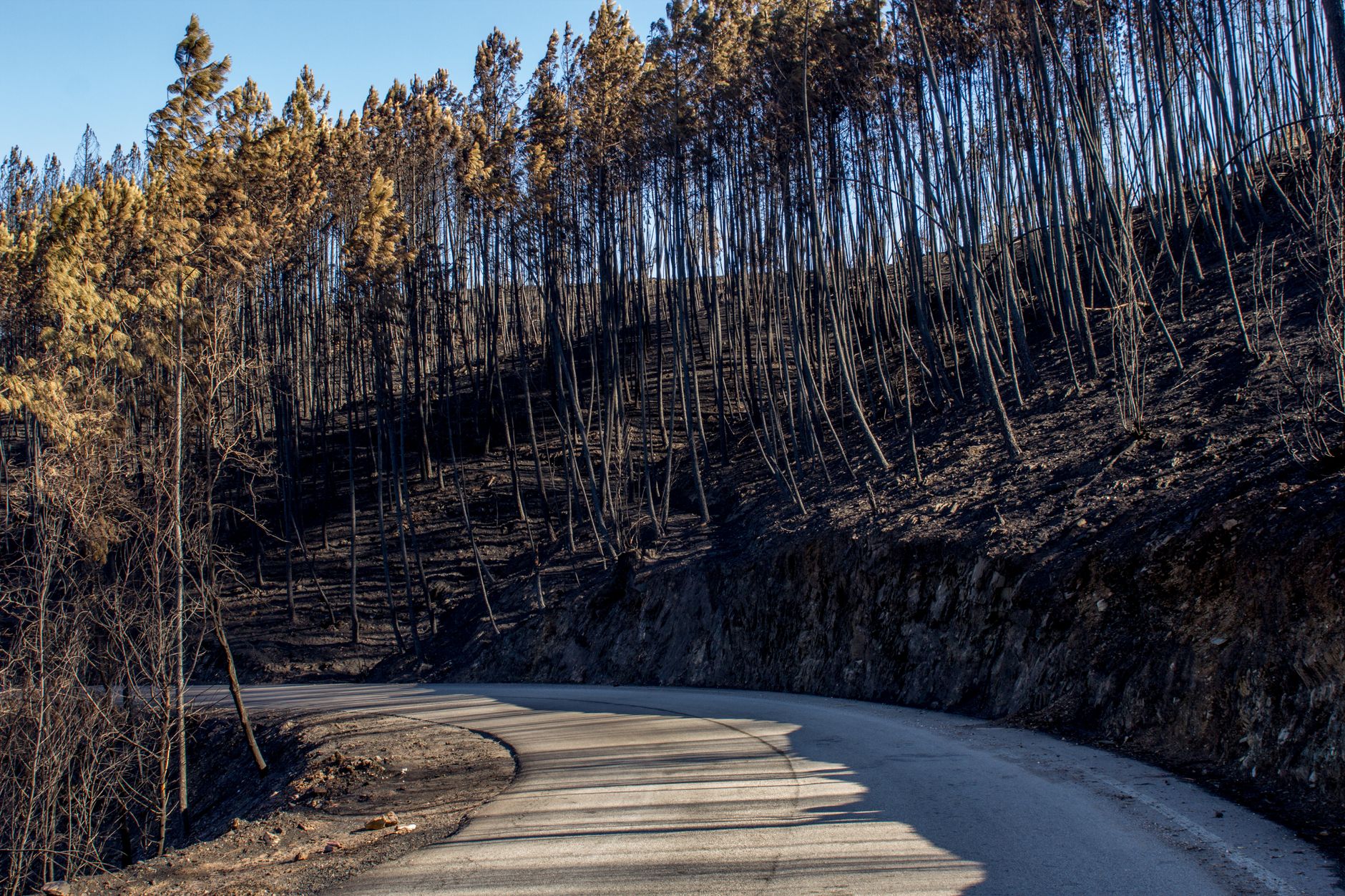 Incendie dans les Landes : 1 580 hectares déjà consumés