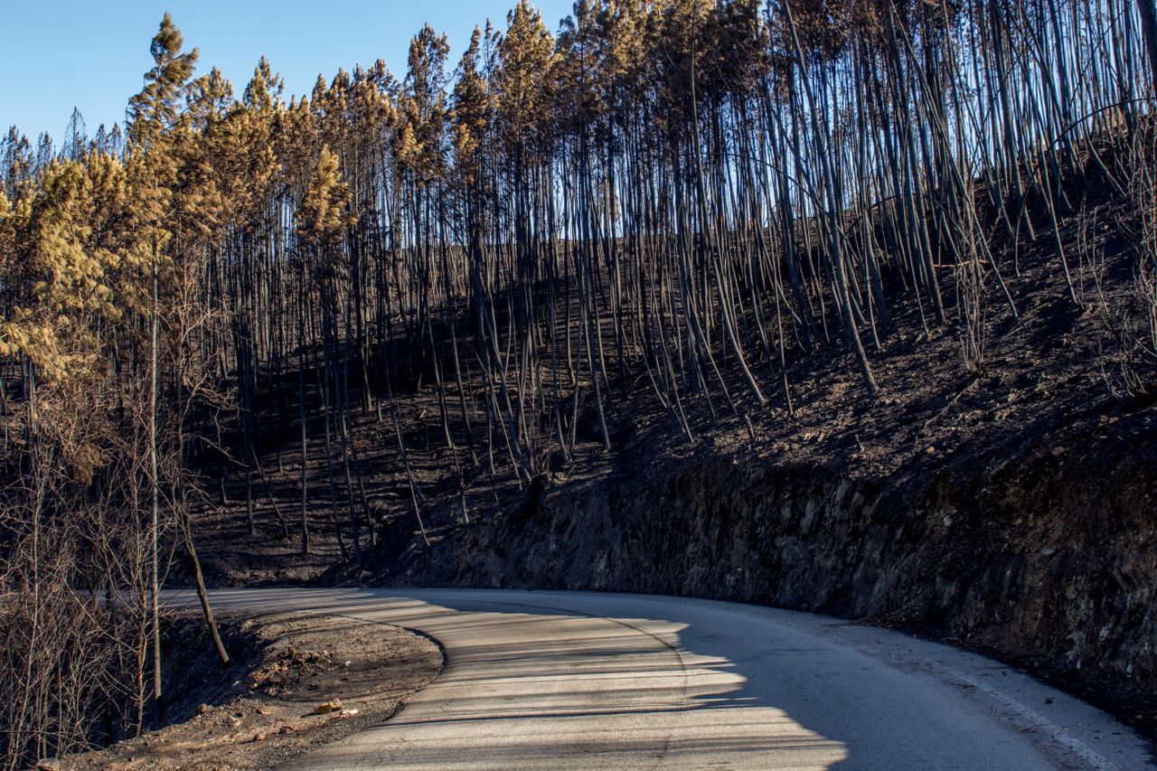 Incendie dans les Landes : 1 580 hectares déjà consumés