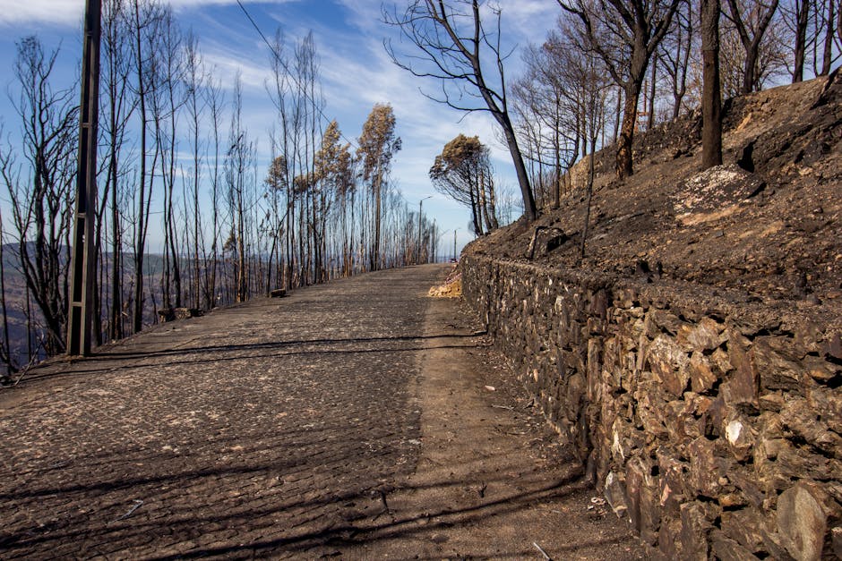 Cheap Energy Deals Cheap Energy Deals