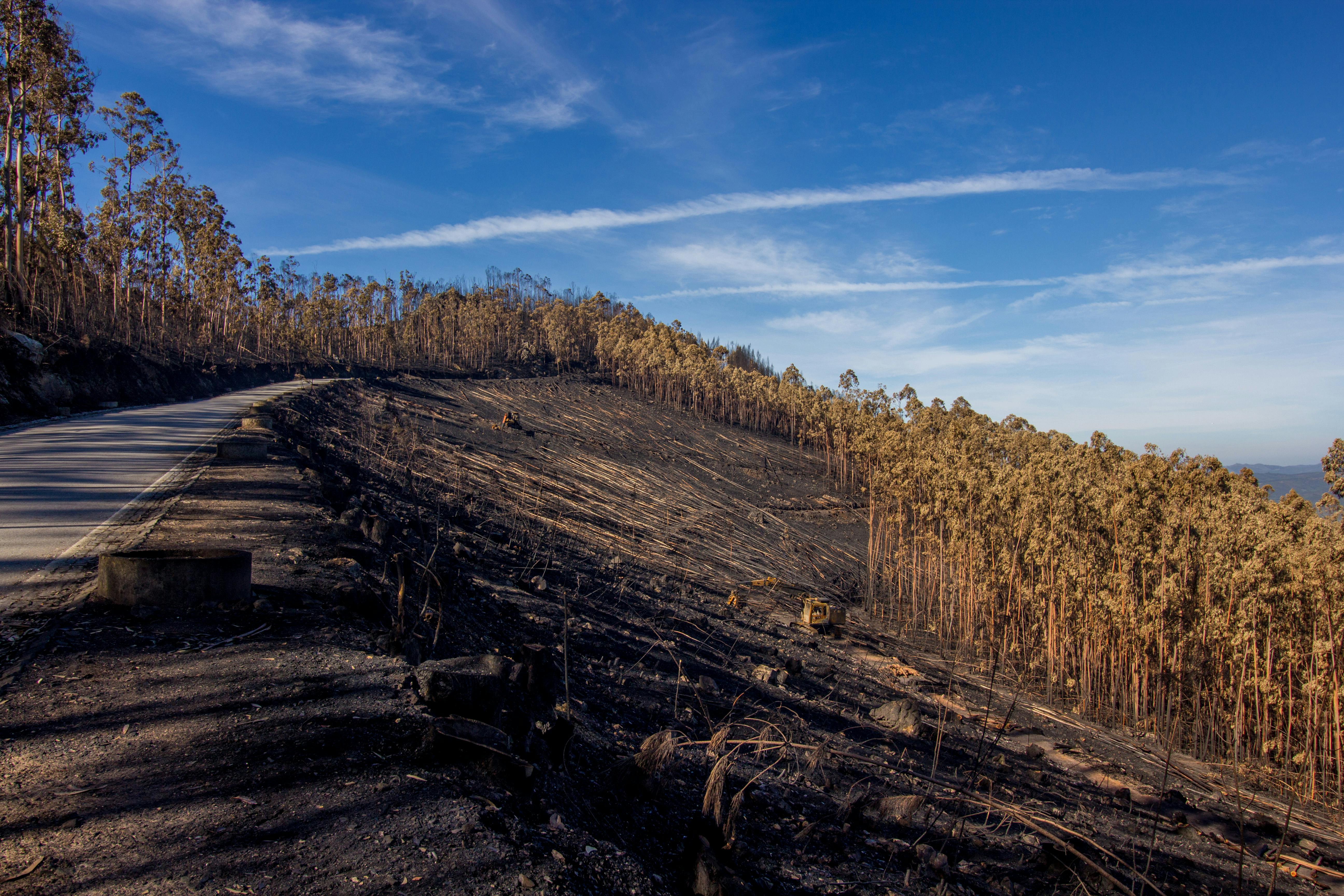 The FIRE road map: Early retirees explain their 2-part investment strategy to hit financial independence — Photo by Simão Mor