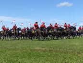 Canadian Mounties in red uniforms riding horses at an outdoor event.