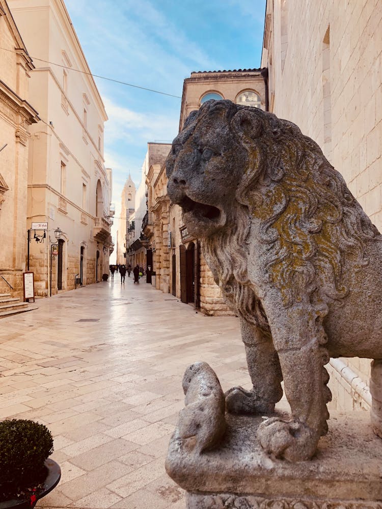 Guardian Lion Statue By Building Entran