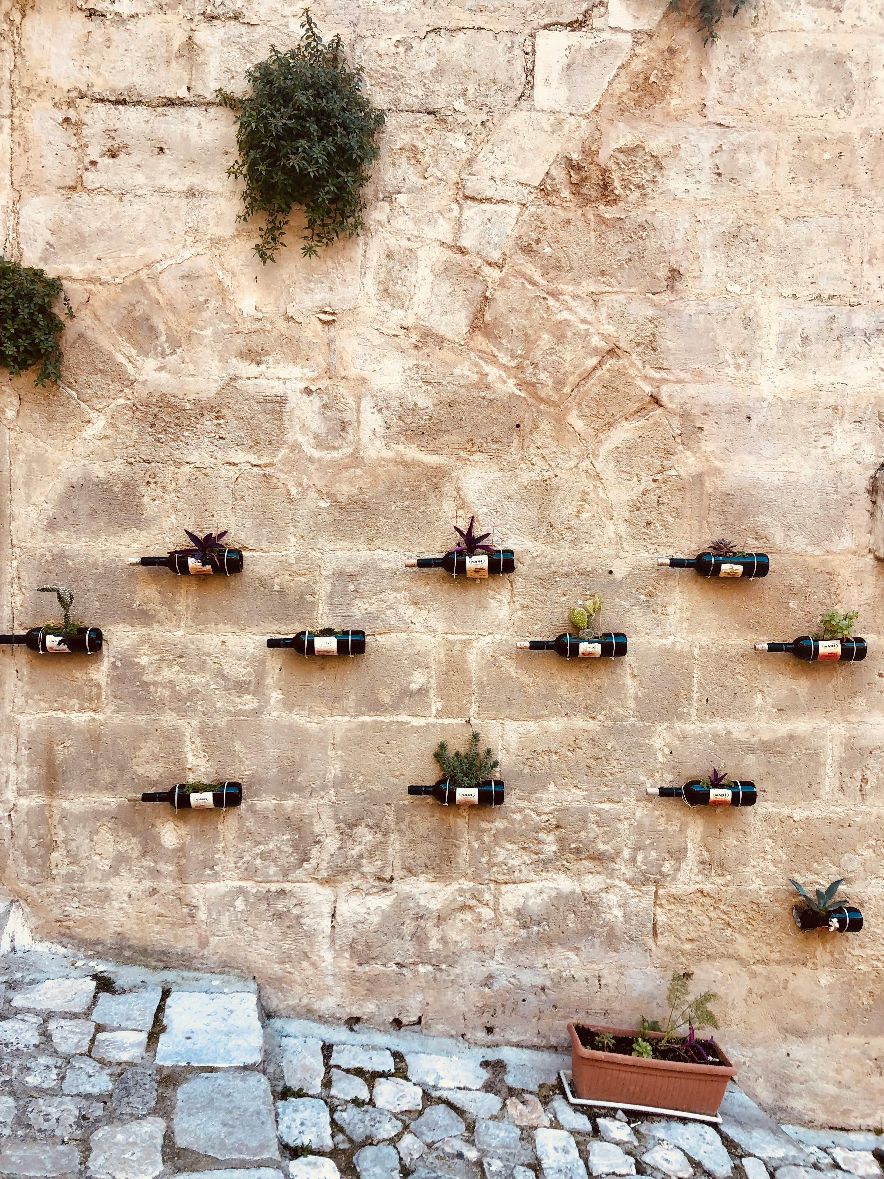 Bottles Hanging on a Stone Wall · Free Stock Photo