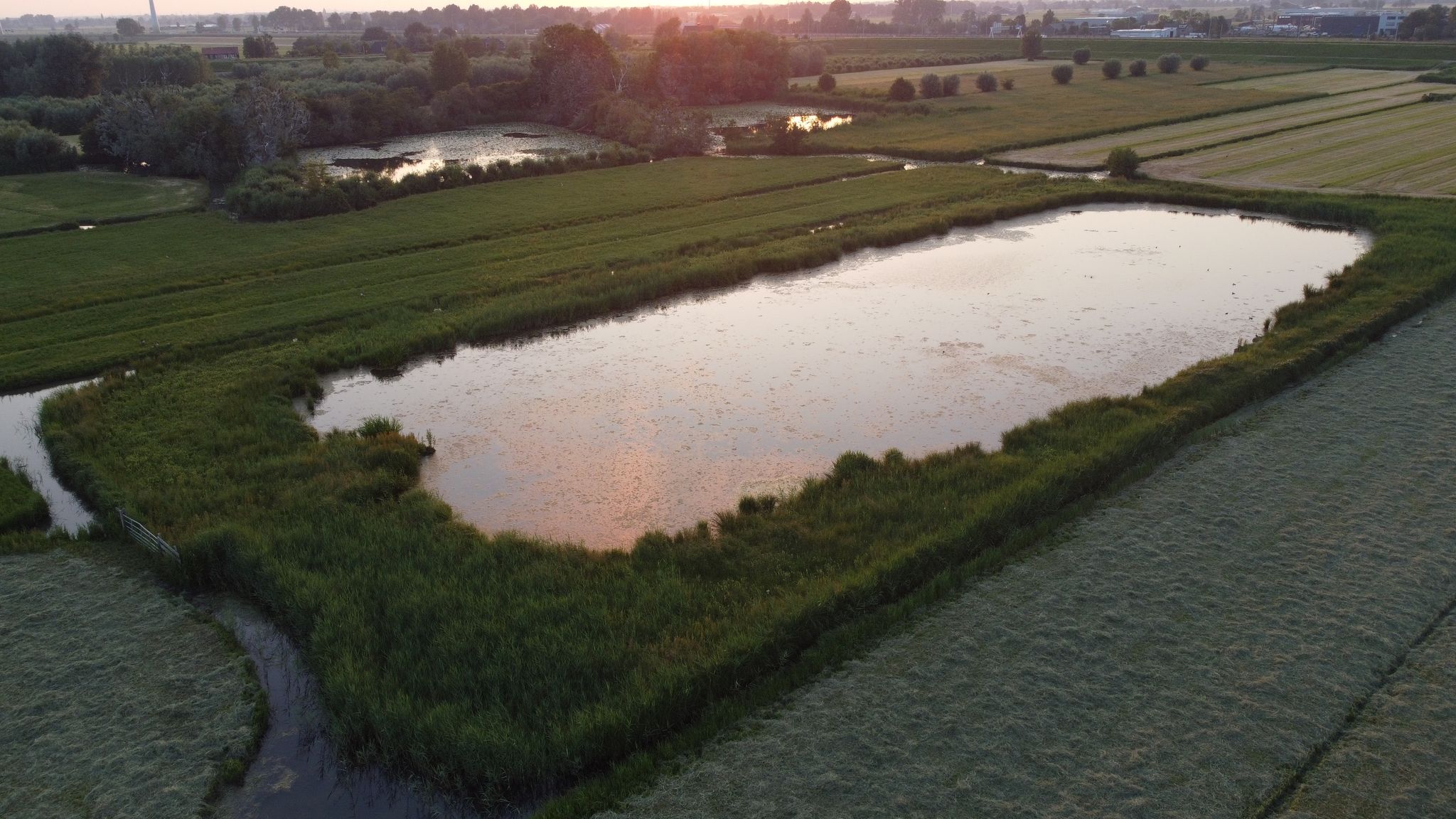 Natuurbeleving in de sloot
