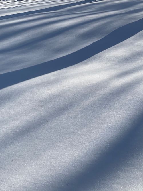 Free Captivating close-up of shadows creating abstract patterns on fresh snow, evoking a serene winter feel. Stock Photo