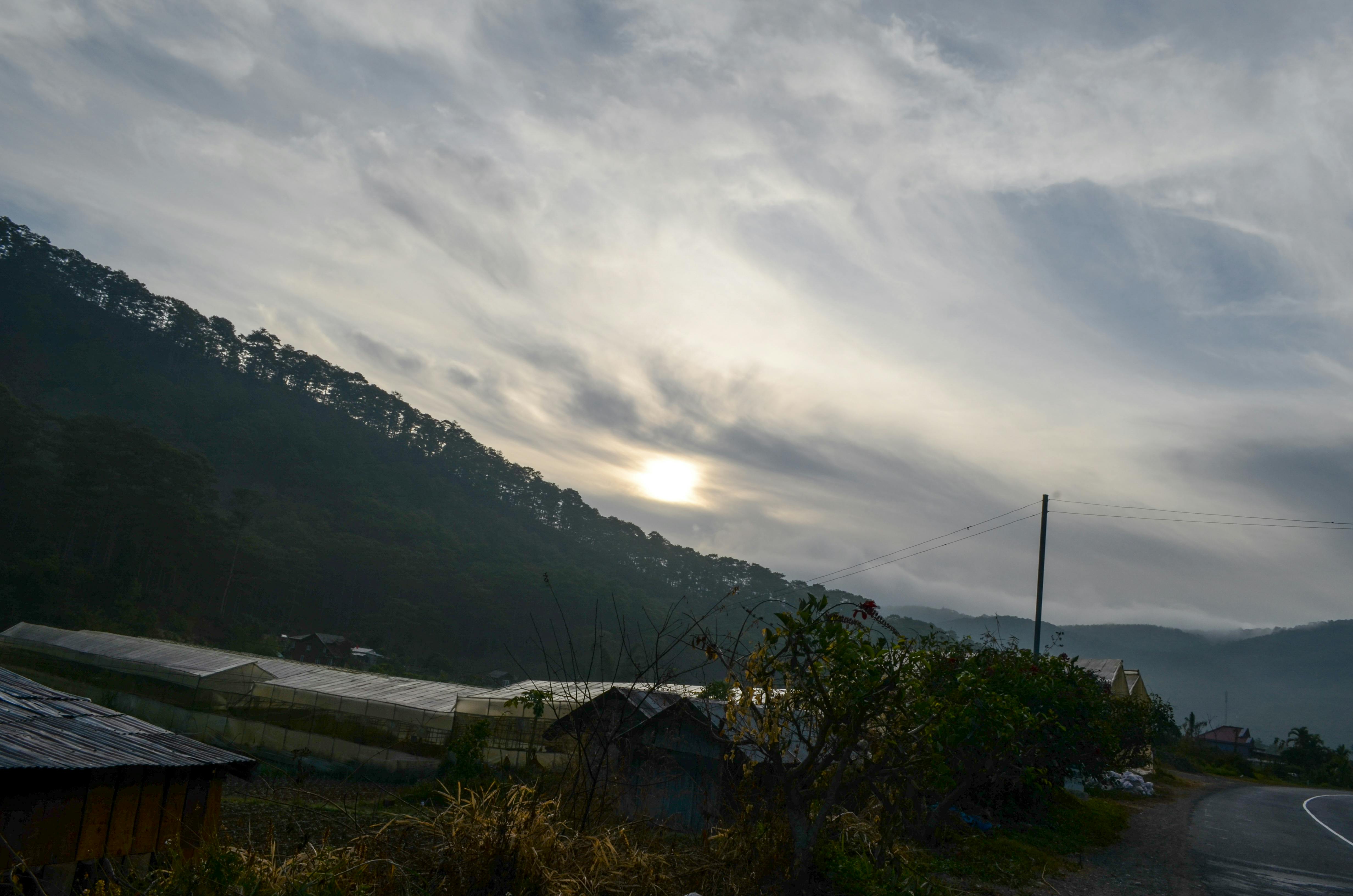 Free stock photo of half