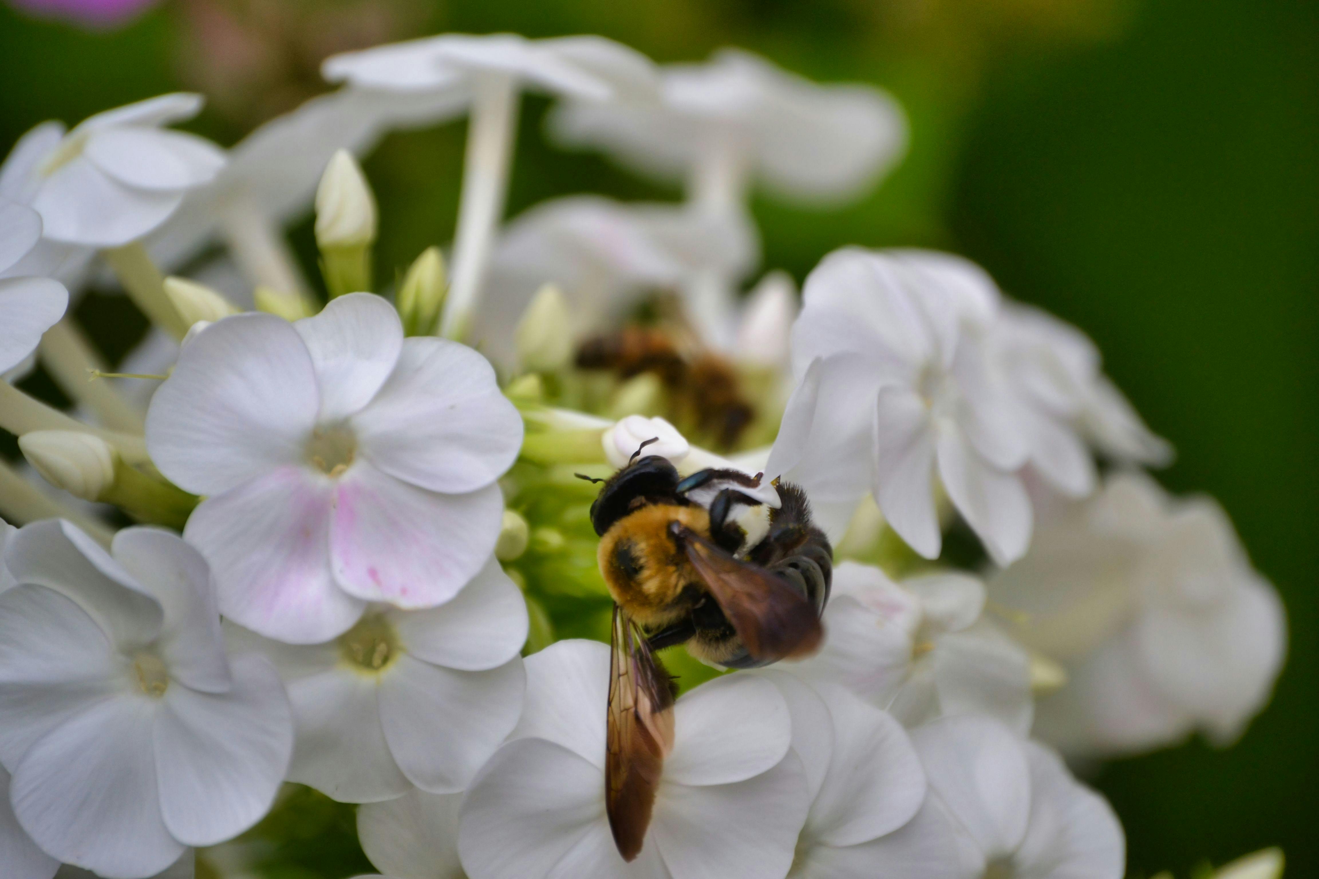 User interface of a vertical video feed on a mobile device