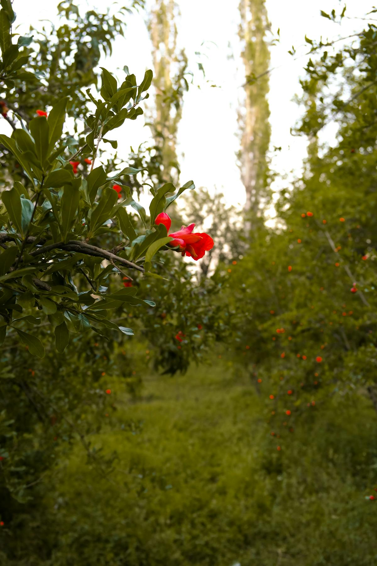 Young adult sitting alone at night using a phone