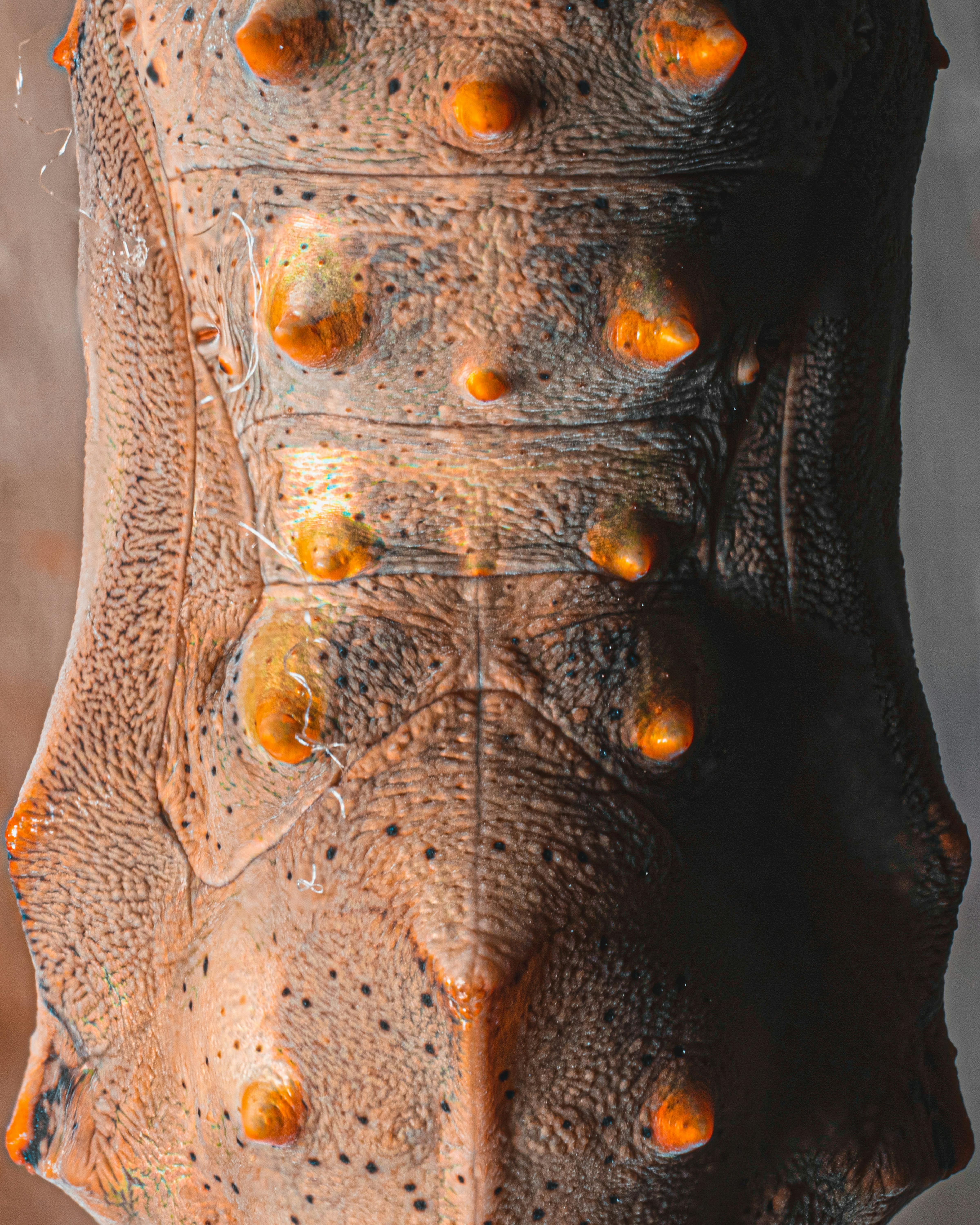 Diving into the Harmonic⁢ Minor Scale: A ⁣Touch of ​Exotic Flair