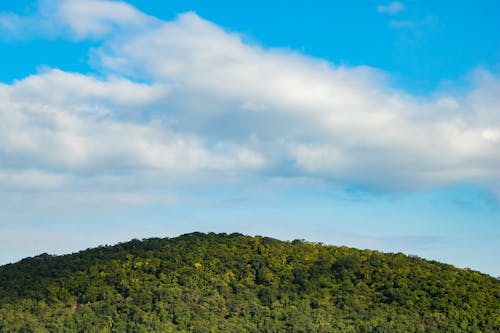 Kostenloses Stock Foto zu blauer himmel, brasil, grüne bäume