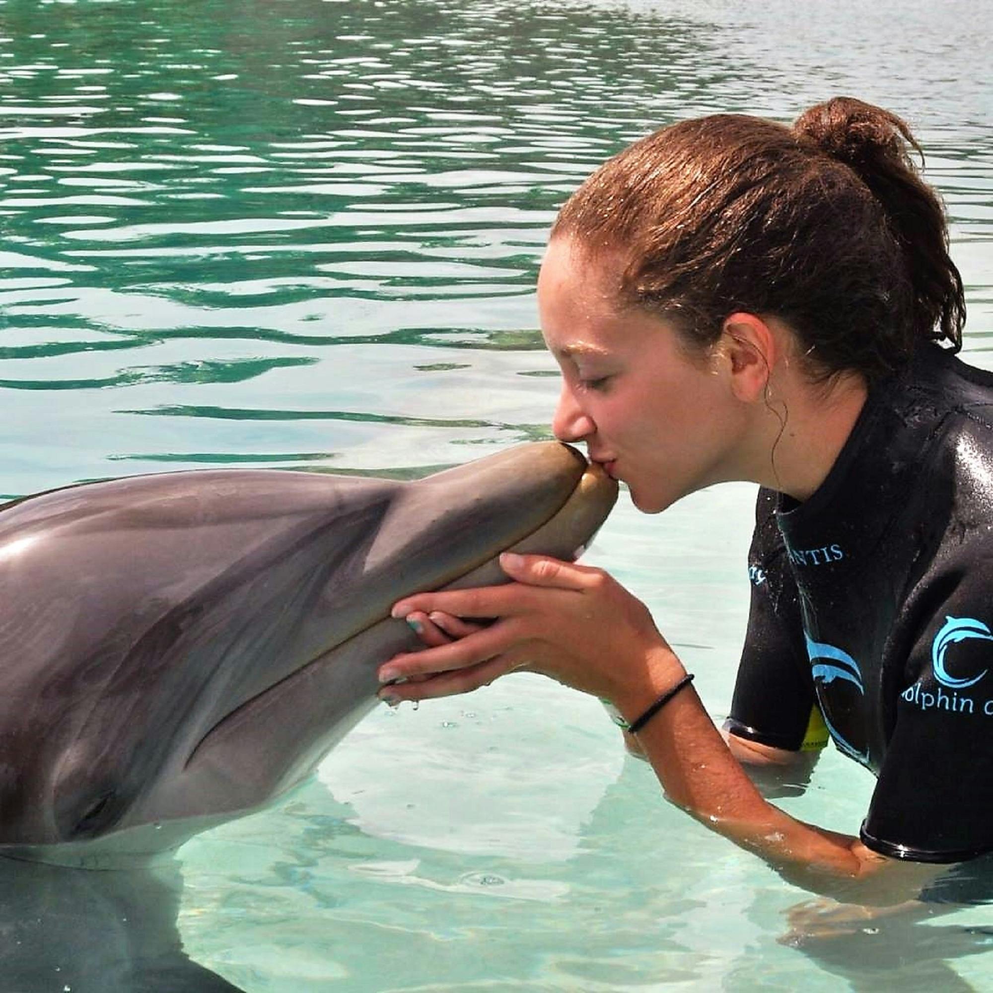 Free stock photo of dolphin, dolphins, kissing
