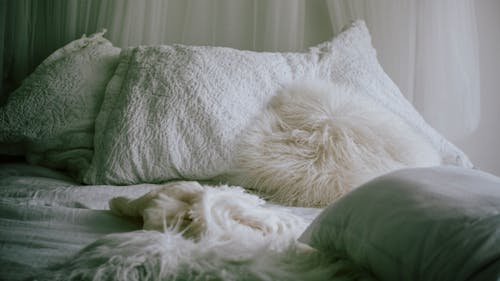 Free Cozy Comfortable Bed Stock Photo