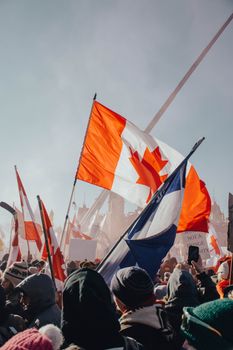 A large crowd of protesters holding Canadian flags in Ottawa, showcasing activism and patriotism.