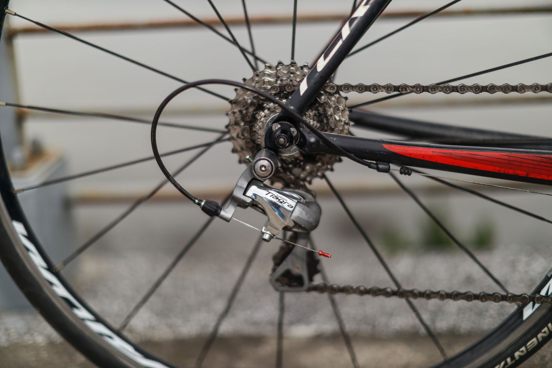 High-quality close-up of a bicycle gear and chain in Taipei City, Taiwan, showcasing precision mechanics.