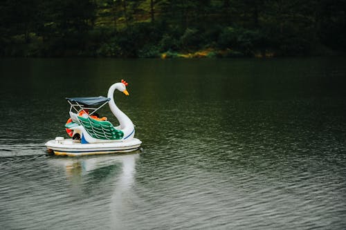 Barco Cisne En Cuerpo De Agua