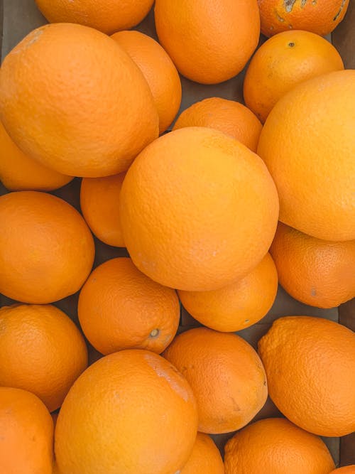 Free stock photo of fruit, orange