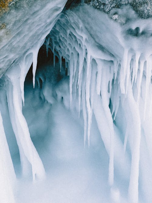 Photos gratuites de beauté dans la nature, fond d'écran mobile, froid - température