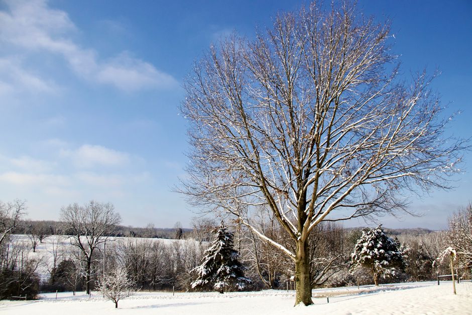 Snow becomes gaming’s new graphics benchmark