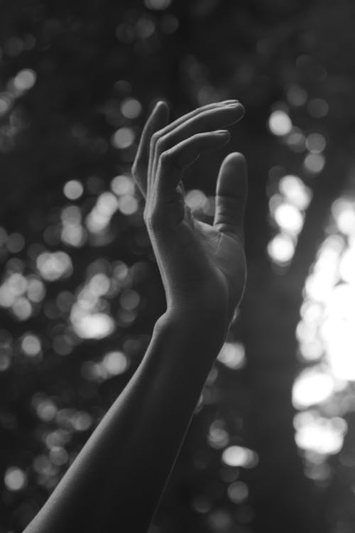 A Grayscale Photo of a Human Hand