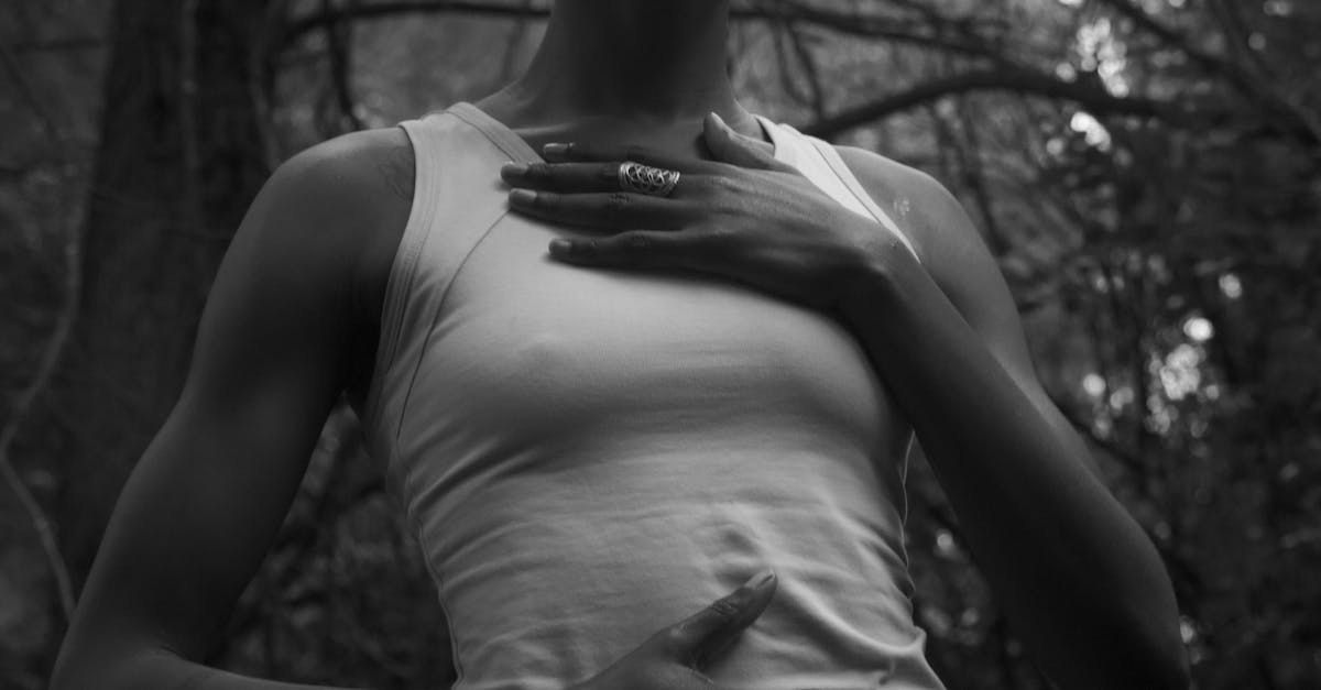 2025東眼山 回森林家 開幕倒數 森感生活與療癒市集等你來體驗