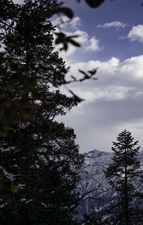 Kostenloses Stock Foto zu arktische natur, berg hintergrund, blauen berge