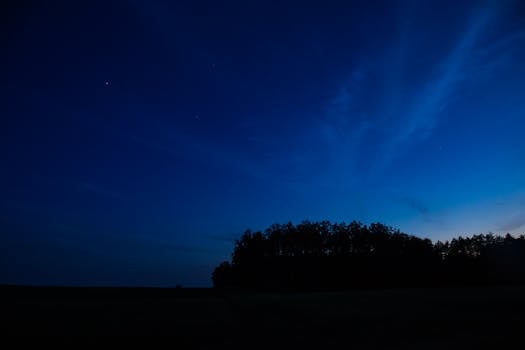 Peaceful evening scene with a silhouetted treeline under a deep blue sky at twilight.