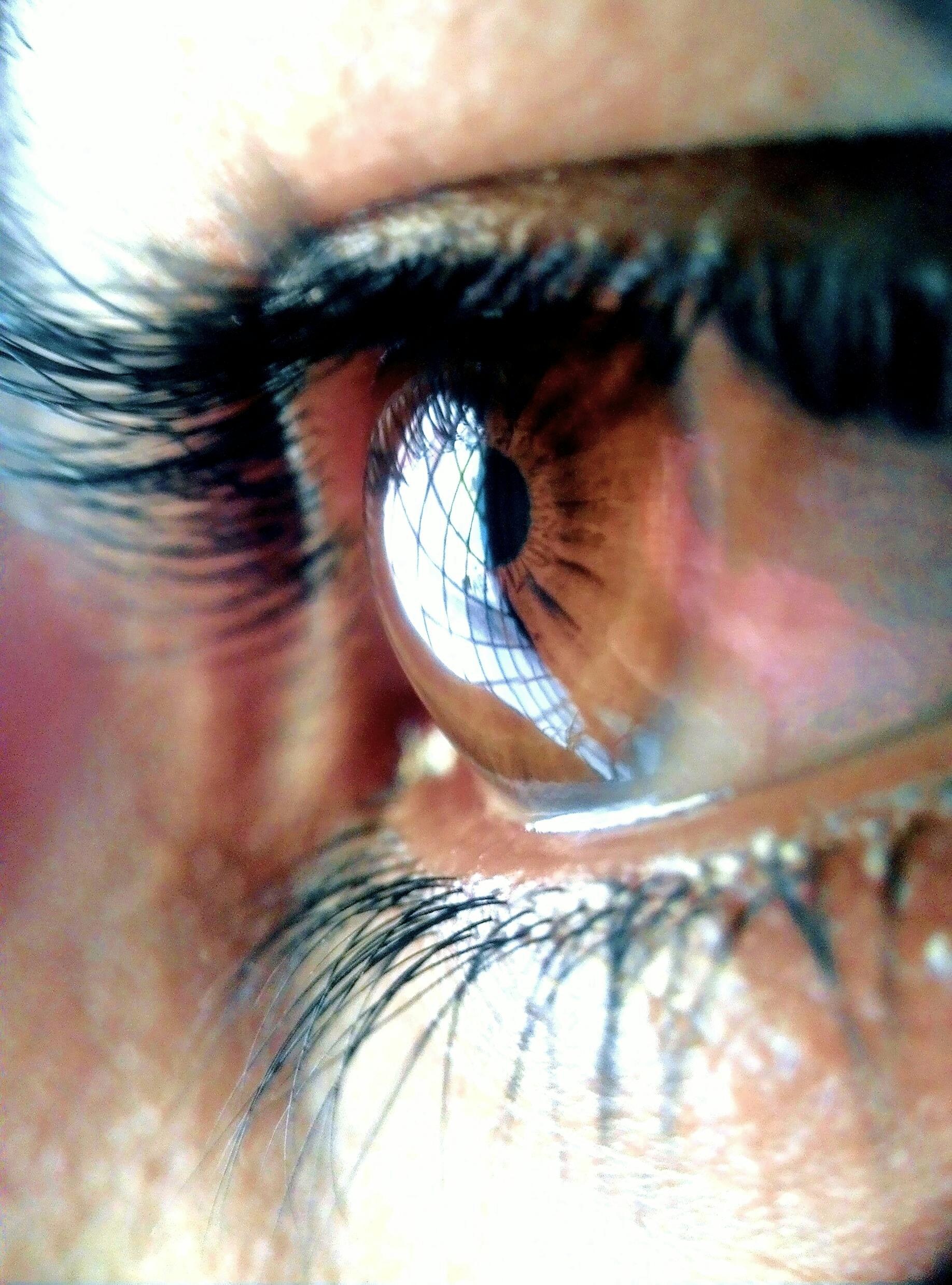 Free stock photo of eye lashes, world