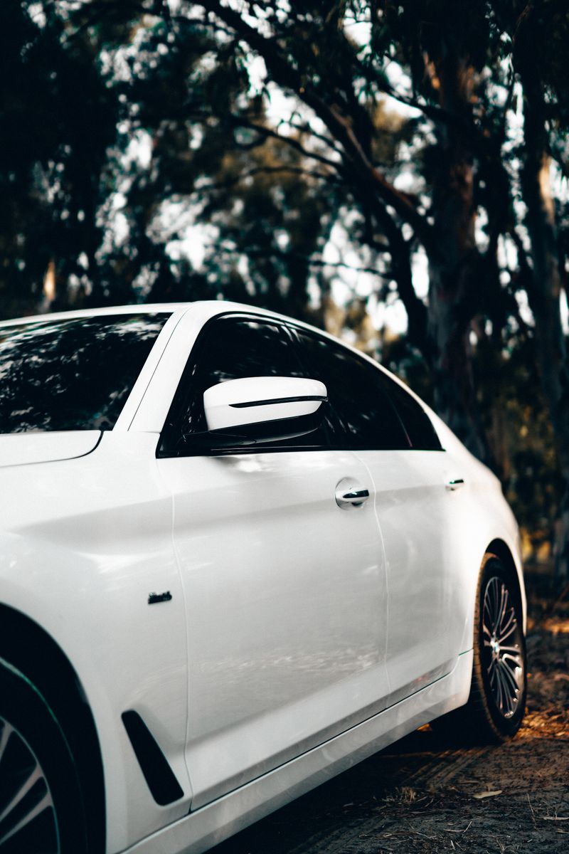 White sedan parked in forest