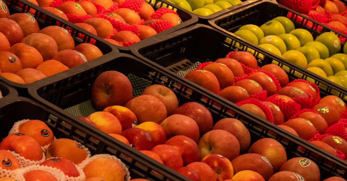 Frigorífico Concepción desarrolla innovación agroindustrial enfocada en competitividad y expansión exportadora Frigorífico Concepción desarrolla innovación agroindustrial enfocada en competitividad y expansión exportadora