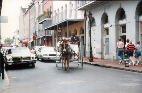 Man in Horse Driven Carriage on Street