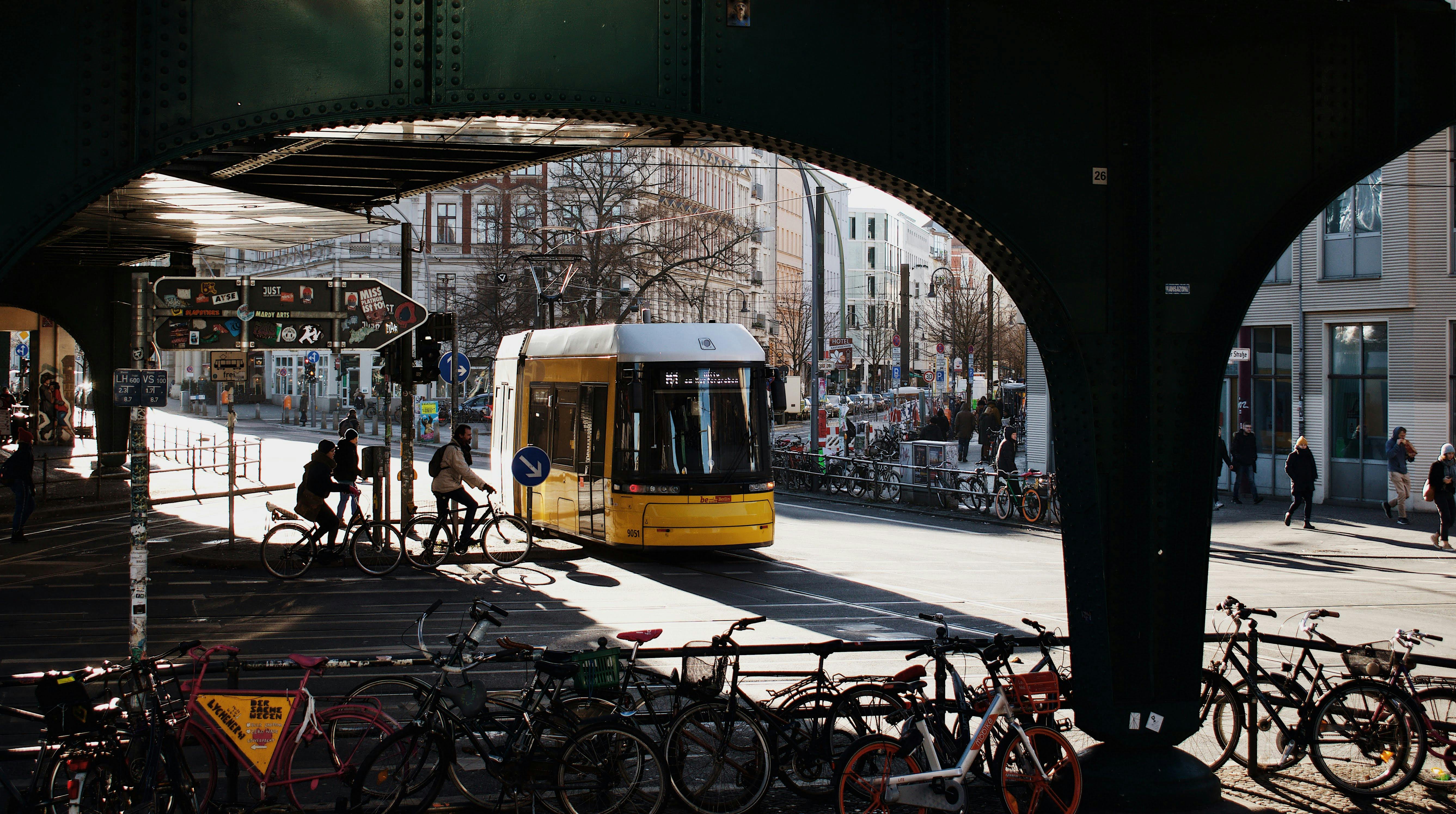 Berlin expands urban beekeeping with 100 new hives in Tempelhof and Neukölln parks