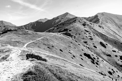 グレースケール写真, 山岳, 白黒の無料の写真素材